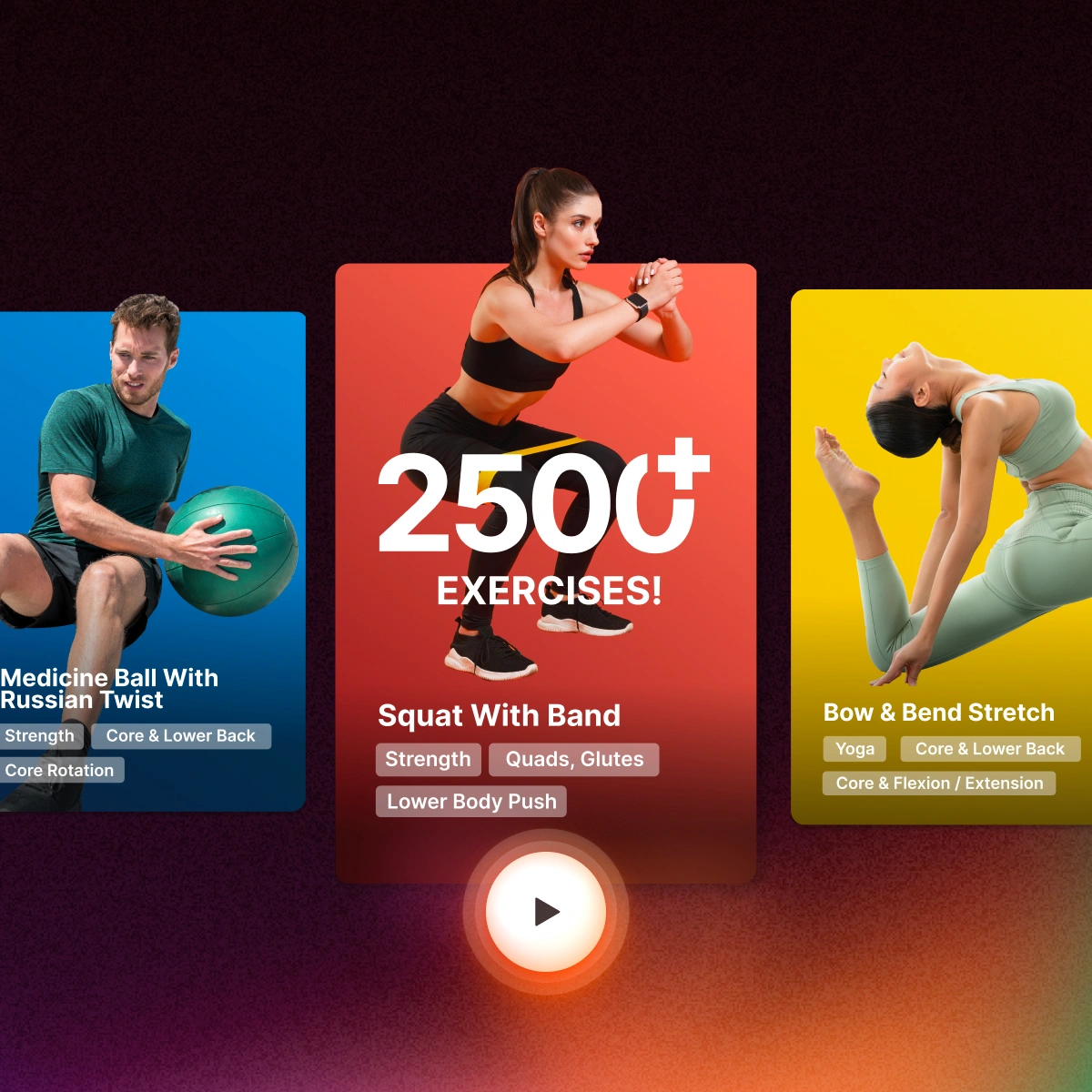 Exercise Videos