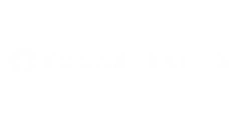 Squashskills