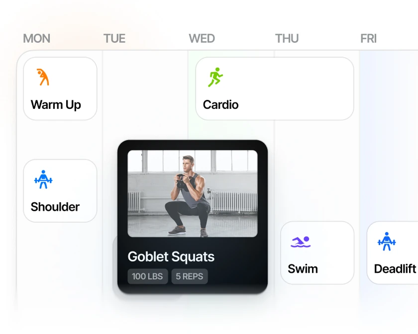 Everfit Programming