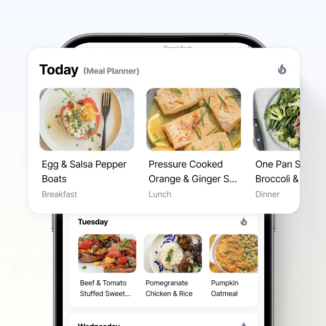 Everfit Structured Meal Plans on mobile