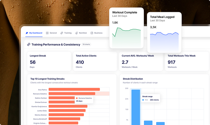 BI Dashboard